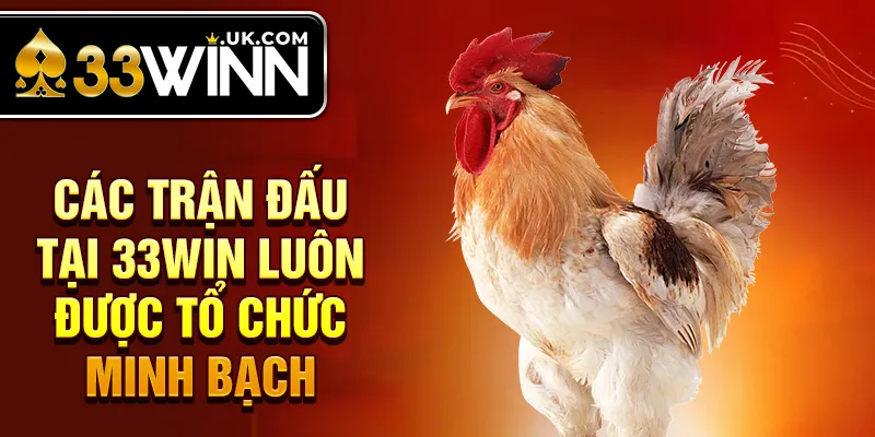 Các trận đấu tại 33win luôn được tổ chức minh bạch