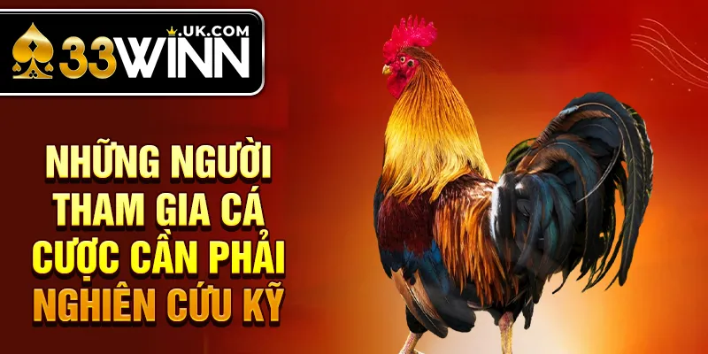 Những người tham gia cá cược cần phải nghiên cứu kỹ